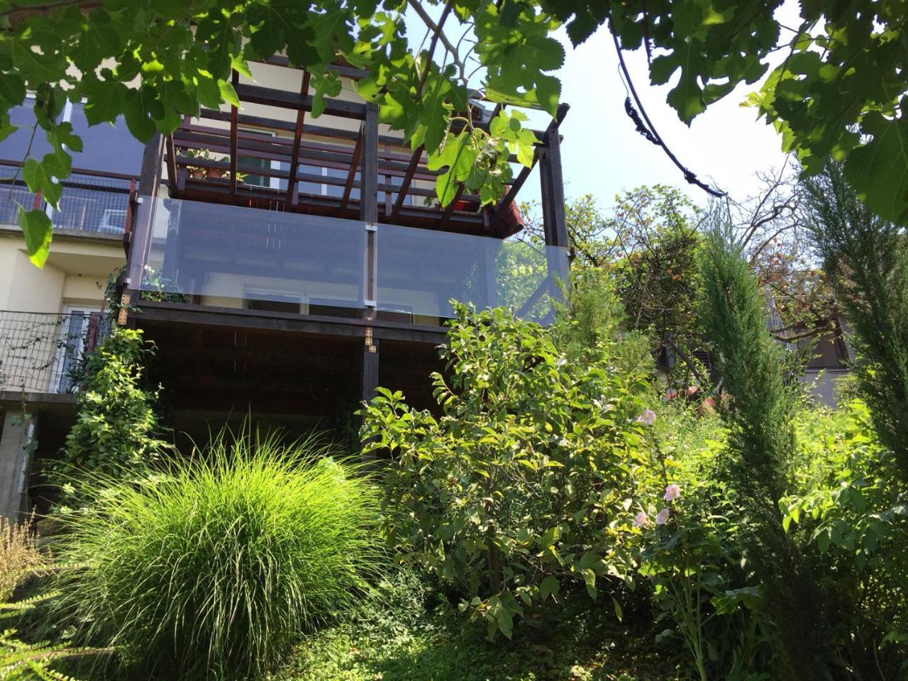 ペトロヴァラディンPergola House In A Green Oasis With Fantastic Viewアパートメント エクステリア 写真