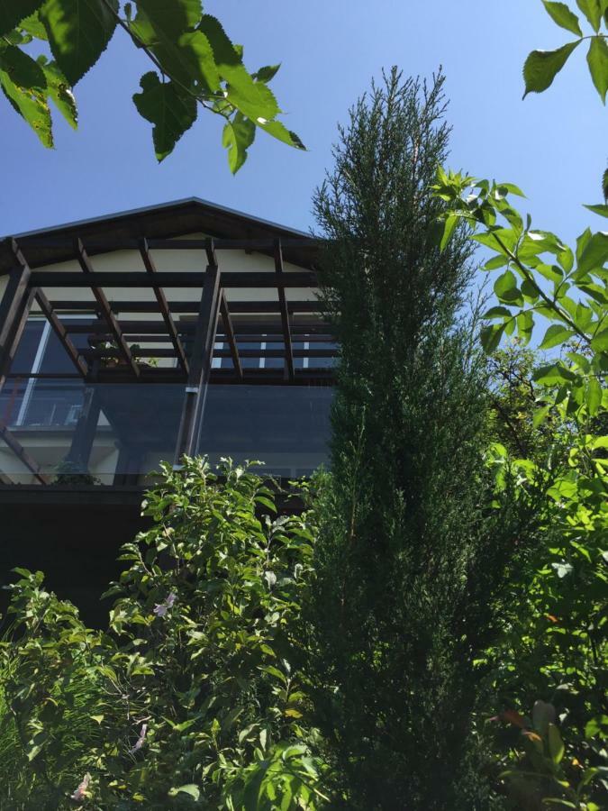 ペトロヴァラディンPergola House In A Green Oasis With Fantastic Viewアパートメント エクステリア 写真