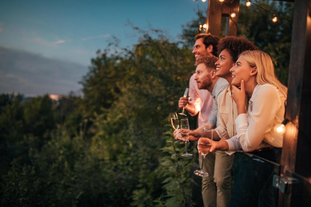 ペトロヴァラディンPergola House In A Green Oasis With Fantastic Viewアパートメント エクステリア 写真